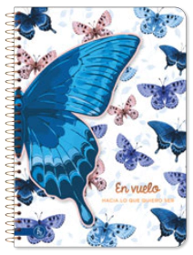CUADERNO RY 20x28cm SEMI RIGIDO MIX x 80hjs RY