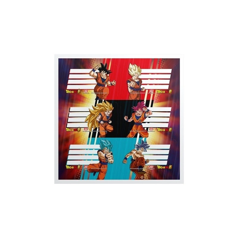 ROTULOS MOOVING x 12u