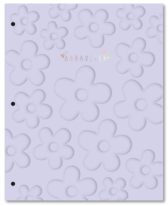 CARPETA LOBO TAPA N�3 PASTEL