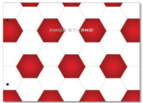 CARPETA LOBO TAPA N&ordm;5 GOALS