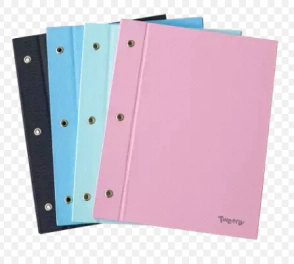 CARPETA TWEENY Nº3 TAPAS PVC FORRADA
