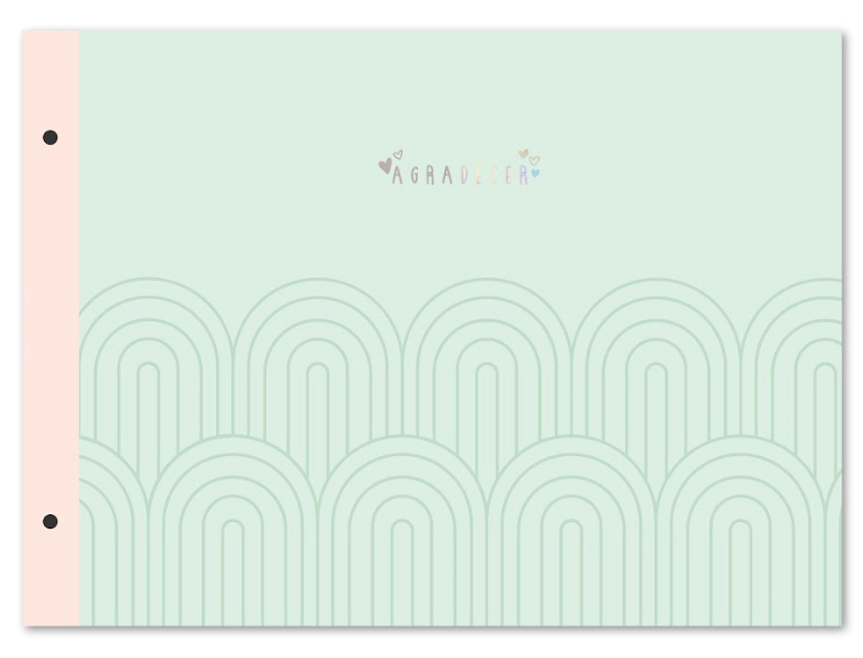 CARPETA LOBO TAPA N�5 PASTEL