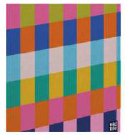 CARPETA PPR N�3 TAPA OPTICA 1