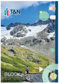 BLOCK T&N A5 x 80hjs RY