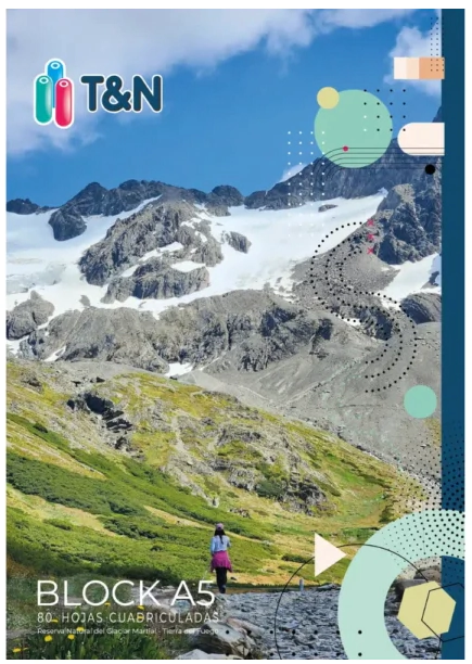 BLOCK T&N A5 x 80hjs LS