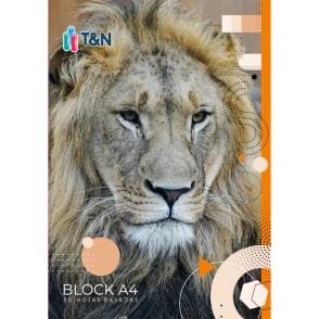 BLOCK T&N A4 x 80hjs RY