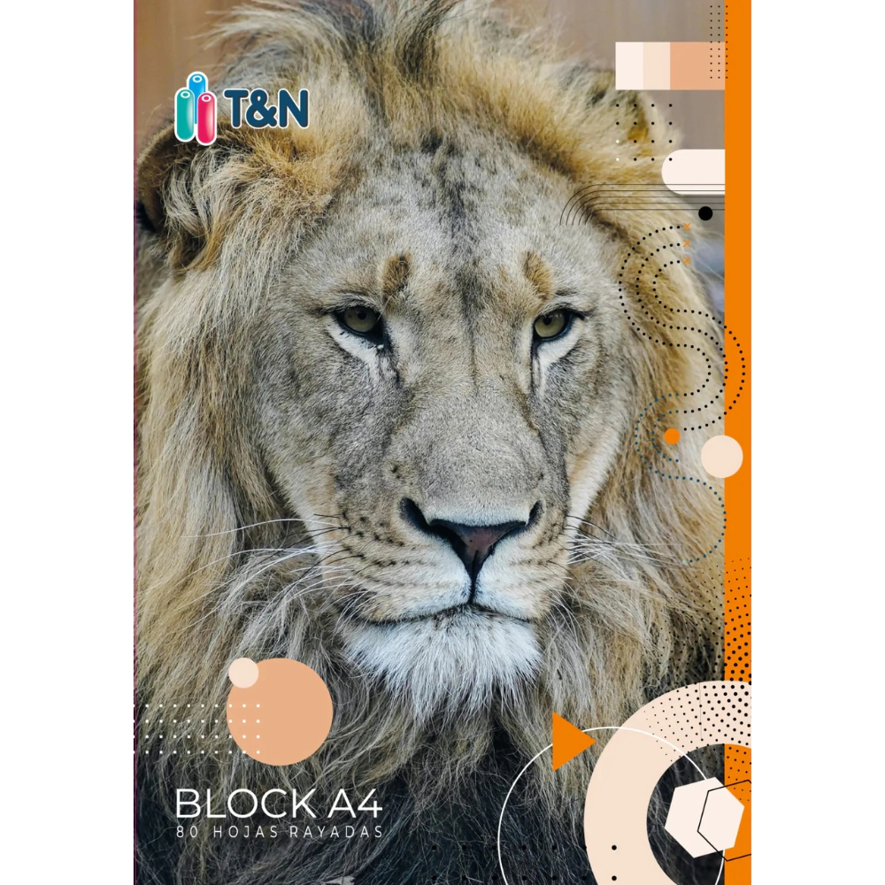 BLOCK T&N A4 x 80hjs RY