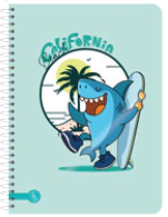 CUADERNO RY 15x21cm SEMI FLEX ESCOLAR x 80hjs RY