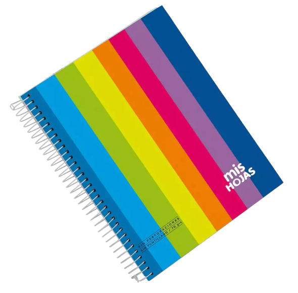 CUADERNO MIS APUNTES 21x27 x 60hjs CD