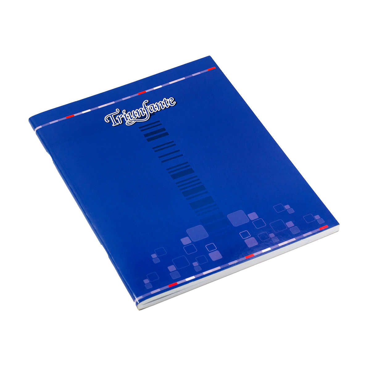 CUADERNO TRIUNFANTE T/FLEX x 24hjs RY