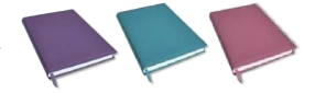 AGENDA ARWEN N�8 ENCUADERNADA PASTEL DIARIA 2027
