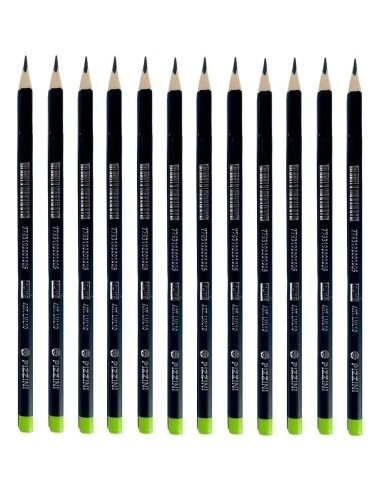 LAPIZ GRAFITO PIZZINI HB TRIANGULAR x 72u