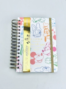AGENDA MOOVING 2026 14x20 DxP MICKEY & FRIENDS